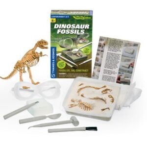DINOSAUR FOSSILS