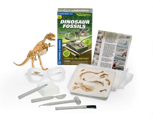DINOSAUR FOSSILS