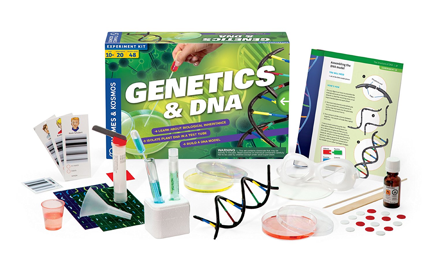 genetic2-1.jpg