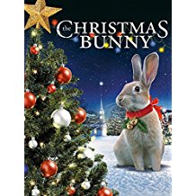 THE CHRISTMAS BUNNY